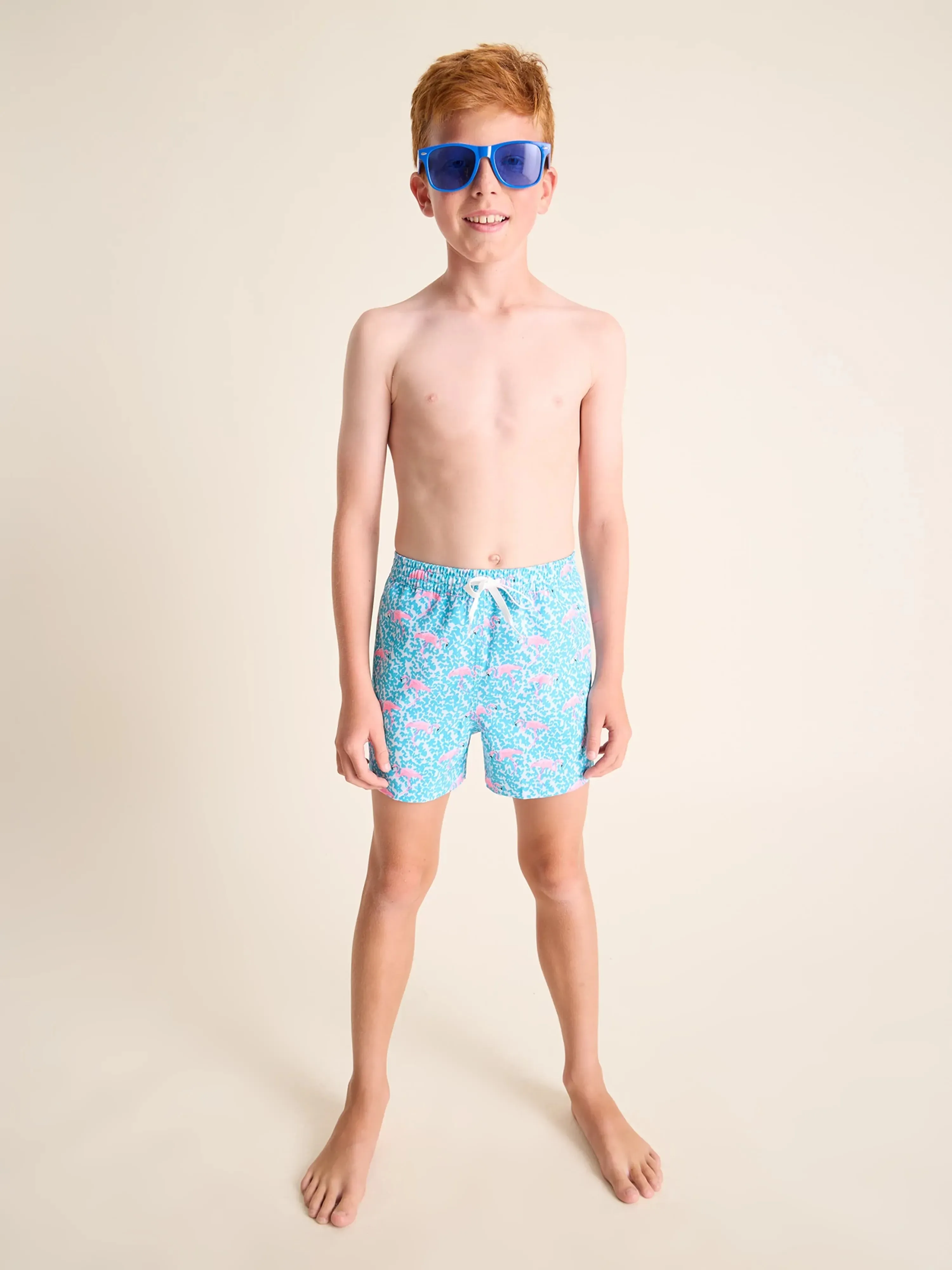 The Domingos Are For Flamingos (Boys Lined Classic Swim Trunk- Shorter)
