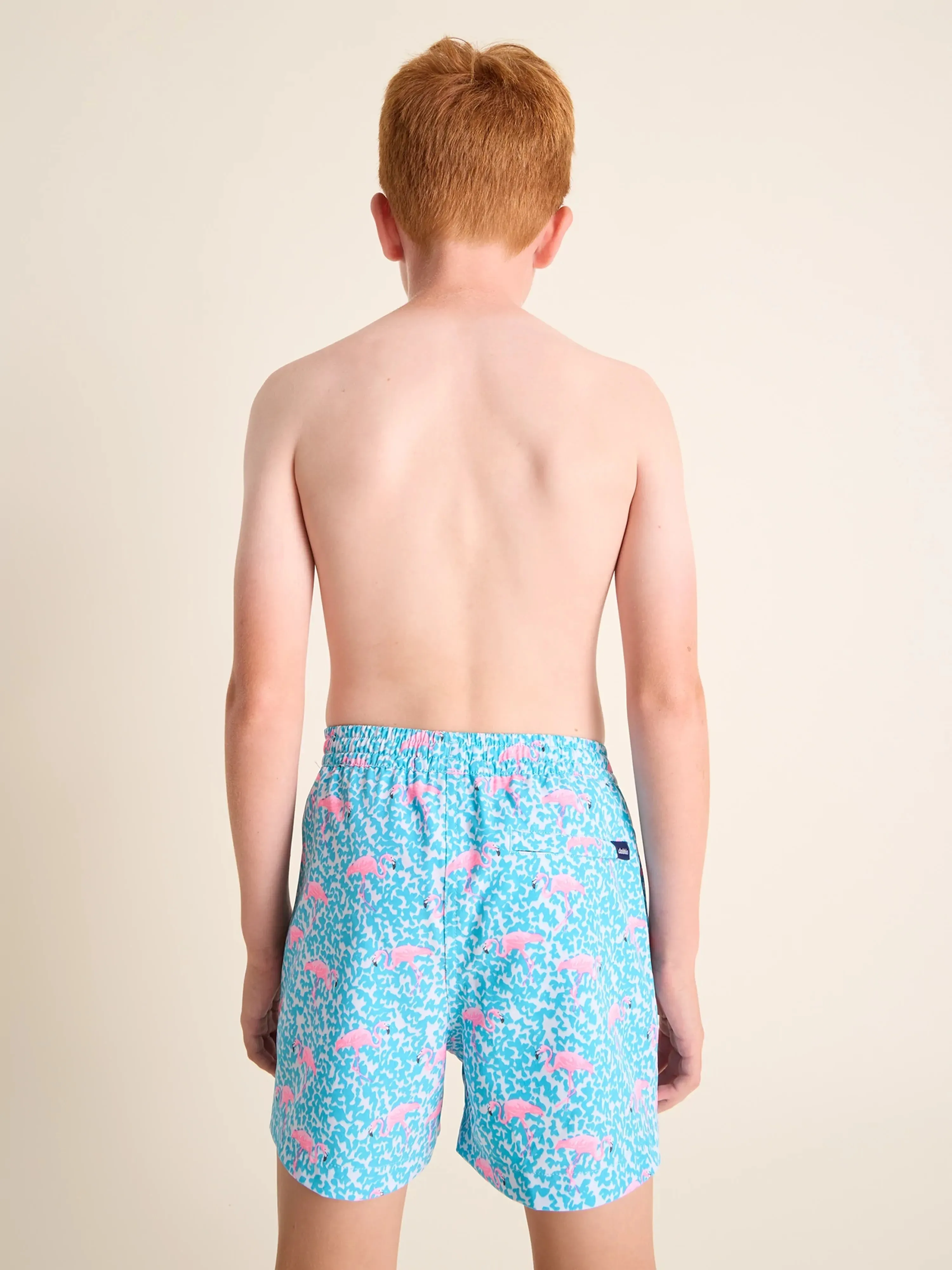 The Domingos Are For Flamingos (Boys Lined Classic Swim Trunk- Shorter)