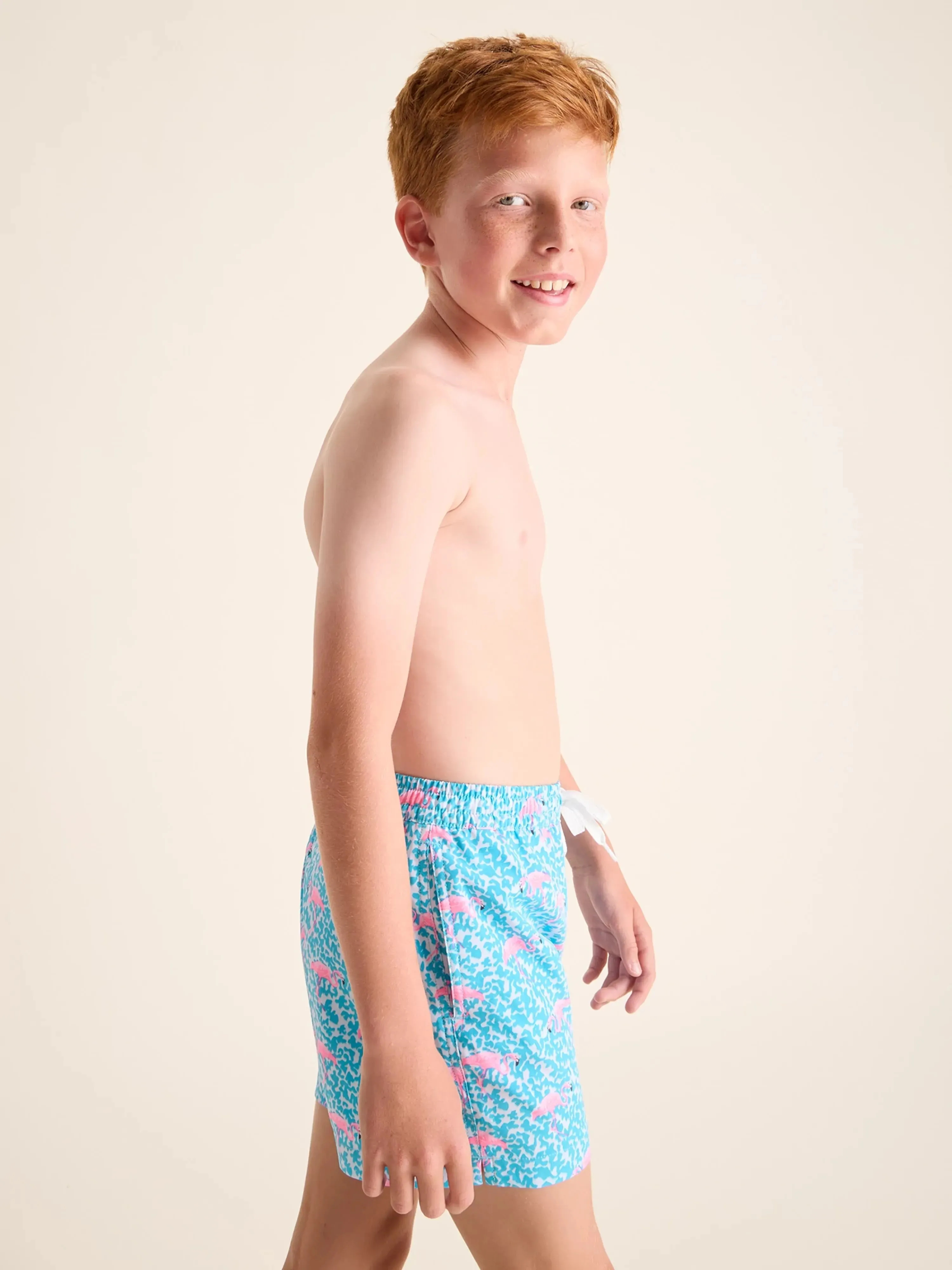 The Domingos Are For Flamingos (Boys Lined Classic Swim Trunk- Shorter)